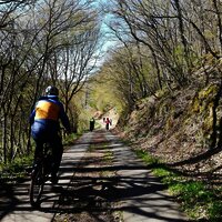 Radweg am Lützbach entlang