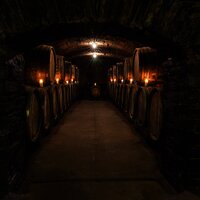 Weinkeller im Weingut