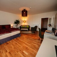 Villa Mosella 2 Wohn-Schlafzimmer