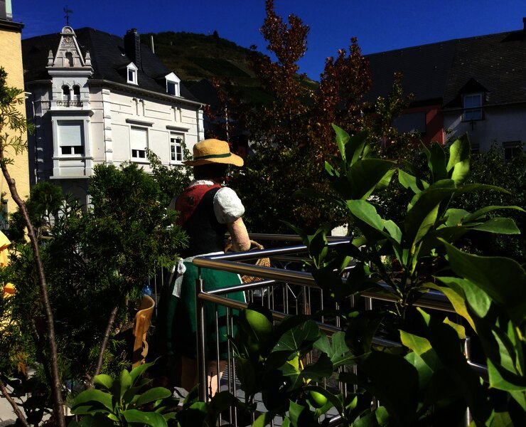 Moselblümchen auf der Terrasse