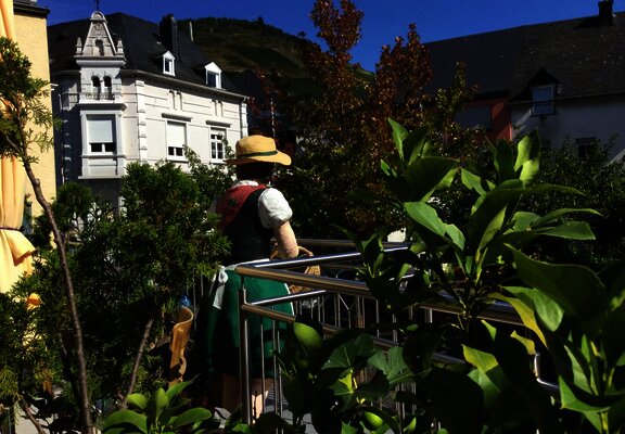 Moselblümchen auf der Terrasse