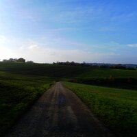 Wiesenweg in der Nähe von Monzelfeld