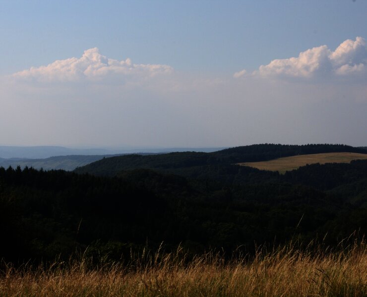 Wandern mit Blick bis an die Mosel
