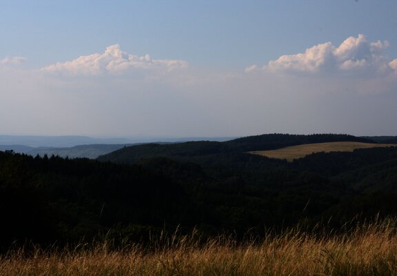 Wandern mit Blick bis an die Mosel