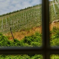 Aussicht aus dem Fenster