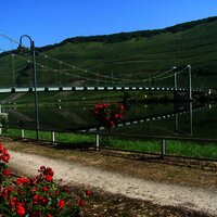 Brücke über die Mosel