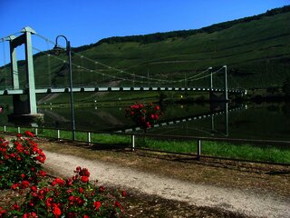 Brücke über die Mosel