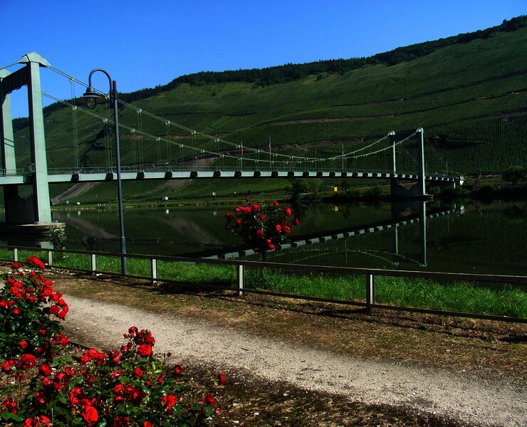 Brücke über die Mosel