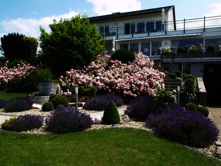 Weingut im Ferienland