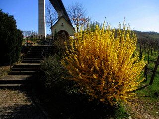 Altkirch in den Weinbergen