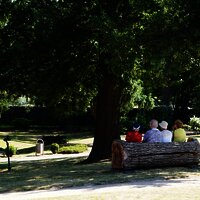 Entspannung auf dem Kueser Plateau