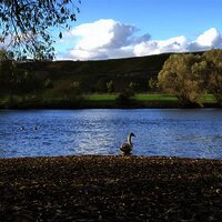 Moselstrand Brauneberg