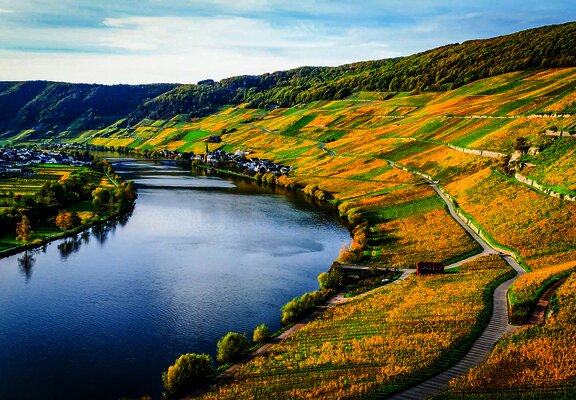 Blick auf die Mosel bei schönem Herbstwetter