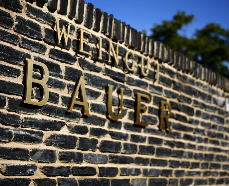 Schriftzug des Weinguts Bauer