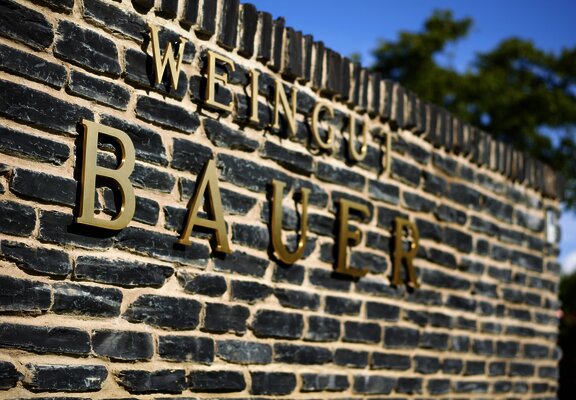 Schriftzug des Weinguts Bauer
