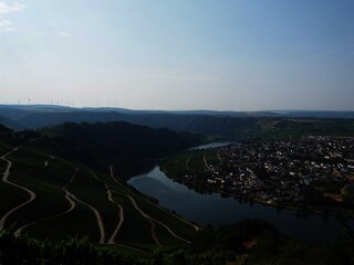 Moselblick bei Piesport