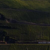 Aussicht auf Weingut  Wehlener Sonnenuhr