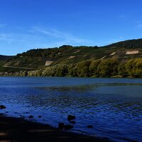 Moselufer bei Brauneberg