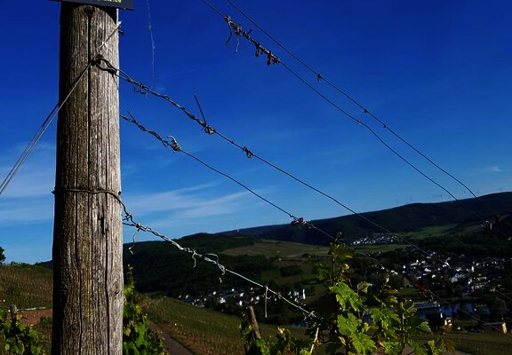 Wandern in den Weinbergen