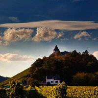 Mosel - Sehenswürdigkeiten - Marienburg - Weinberg - Sonne - Zeller Land