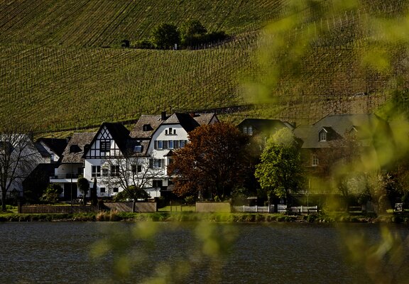 Weingut und Mosel