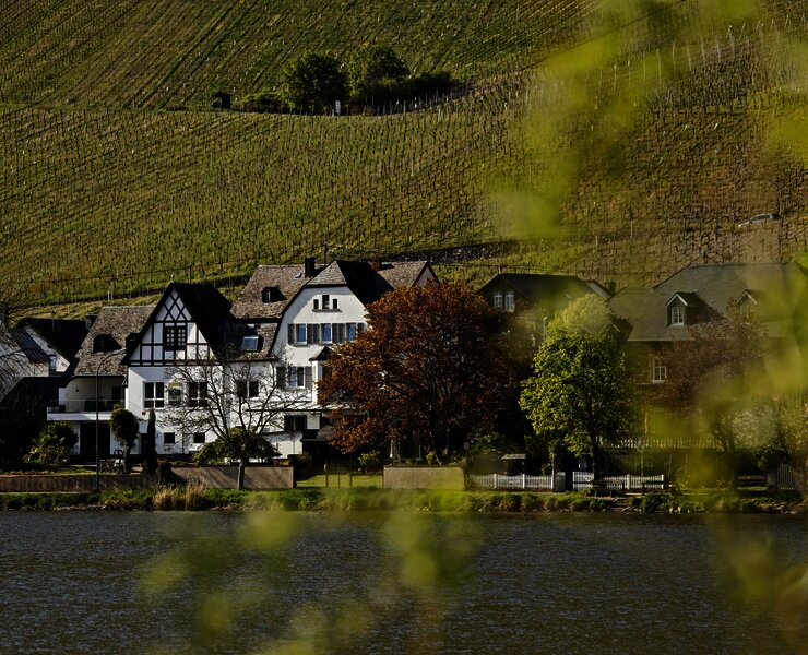 Weingut und Mosel