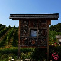 Insektenhotel an der Ruheinsel