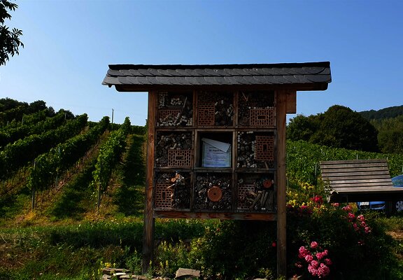 Insektenhotel an der Ruheinsel