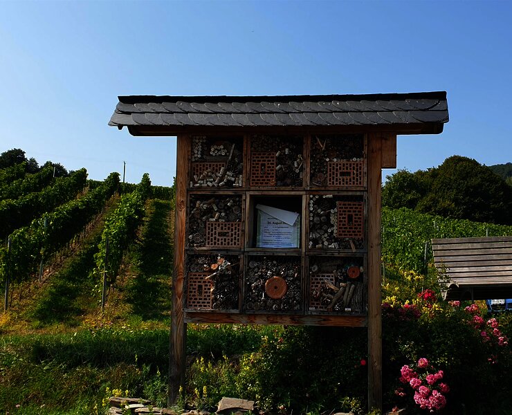 Insektenhotel an der Ruheinsel