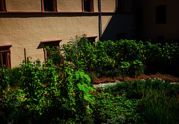 Stadtpark im Deinhards