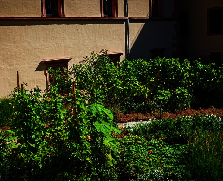 Stadtpark im Deinhards