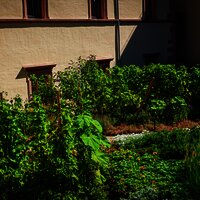 Stadtpark im Deinhards