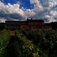 Haus im sommerlichen Weinberg