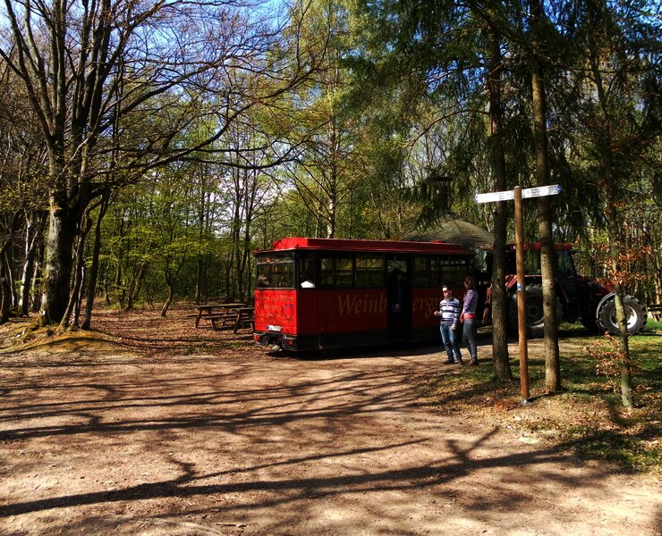 Winzerexpress beim "Großen Moselblick"