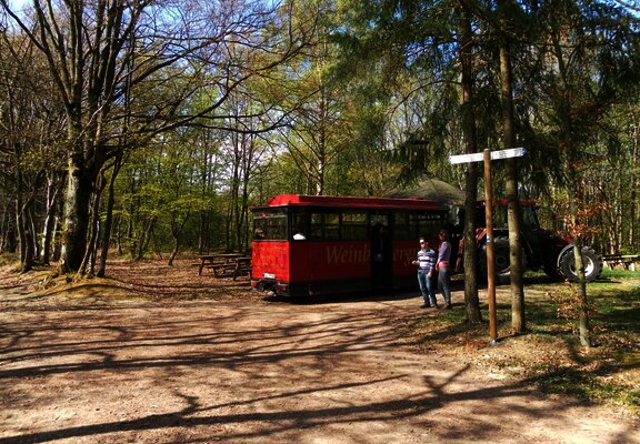 Winzerexpress beim "Großen Moselblick"