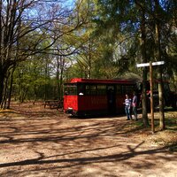 Winzerexpress beim "Großen Moselblick"