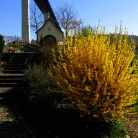 Alte Kirche am Ortsrand