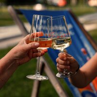 Weingenuss am Moselufer