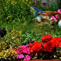 Garten