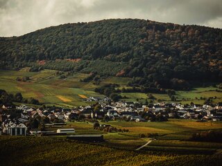 Ortsgemeinde Osann-Monzel