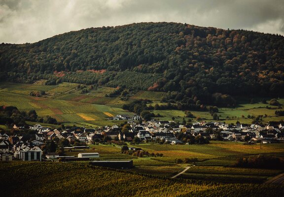 Ortsgemeinde Osann-Monzel