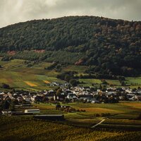 Ortsgemeinde Osann-Monzel