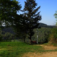 Plantert Kreuz oberhalb von Zeltingen-Rachtig