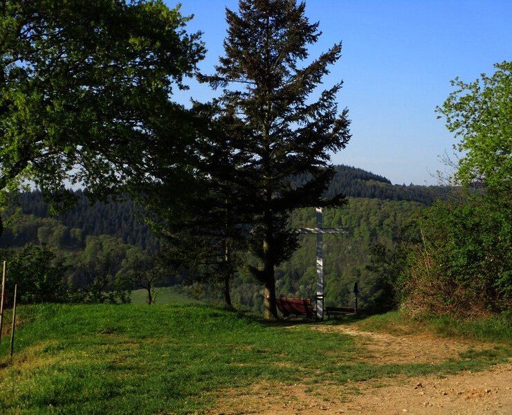 Plantert Kreuz oberhalb von Zeltingen-Rachtig