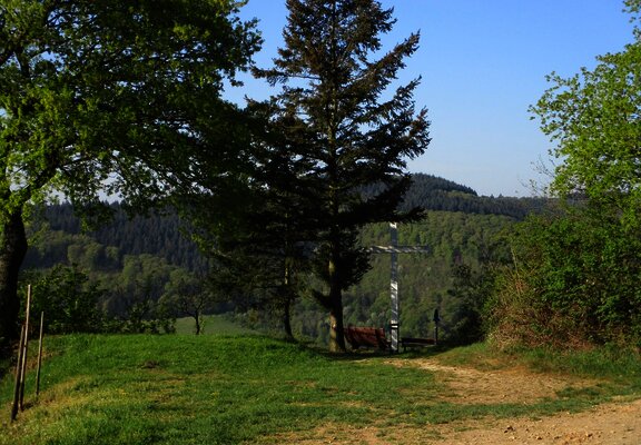 Plantert Kreuz oberhalb von Zeltingen-Rachtig