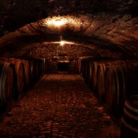 Weinkeller an der Mosel