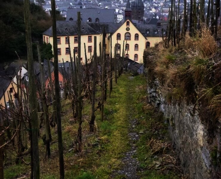 Weinbergspfad bei Bernkastel