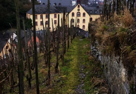 Weinbergspfad bei Bernkastel