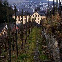 Weinbergspfad bei Bernkastel