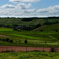 Burgen an der Mittelmosel